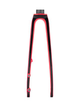 Trek 2021 Emonda SLR 700c Rigid Forks