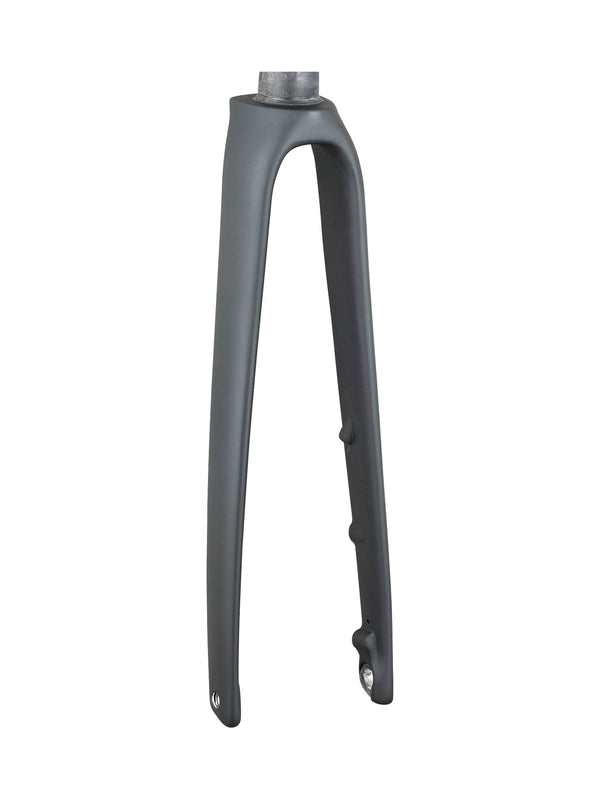 Trek 2021 Emonda SLR 700c Rigid Forks