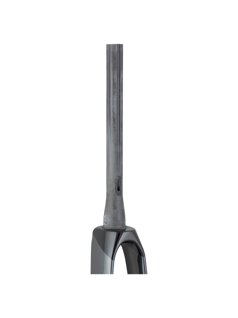 Trek 2021 Madone SL 700c Rigid Forks