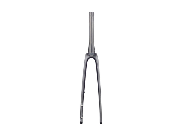 Trek 2021 Madone SLR Forks