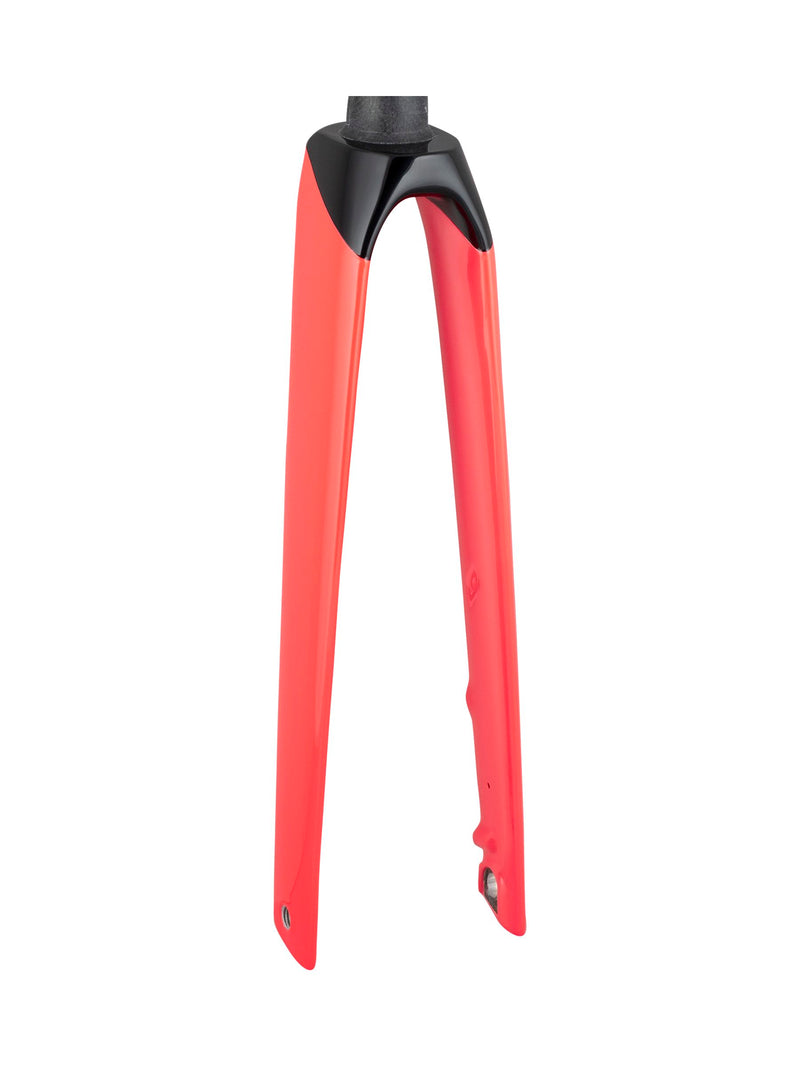 Trek 2021 Madone SLR 700c Rigid Forks