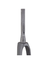 Trek 2021 Madone SLR 700c Rigid Forks