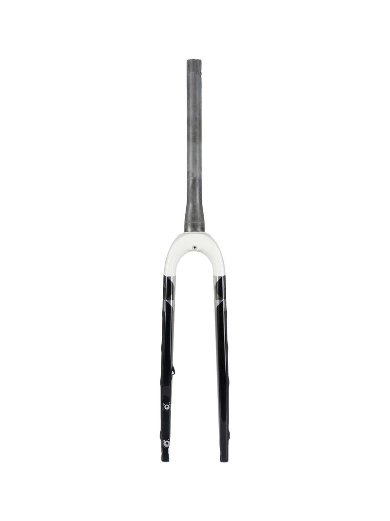 Trek 2022 Checkpoint ALR 5 Forks