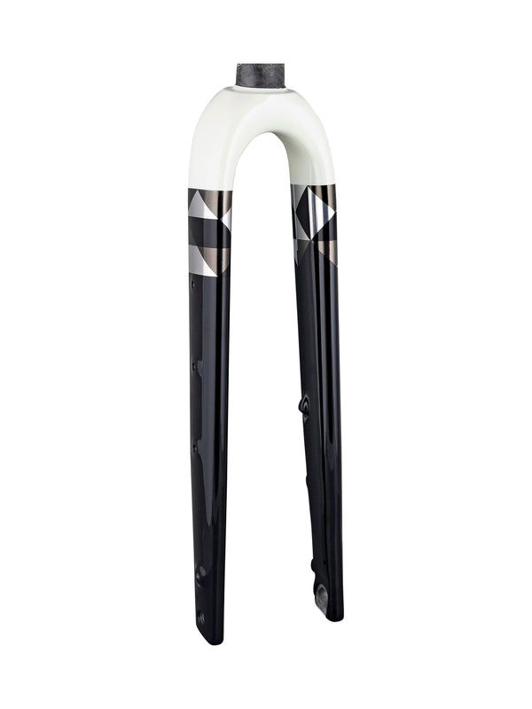 Trek 2022 Checkpoint ALR 5 Forks
