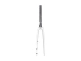 Trek 2022 Domane SL 5 Forks