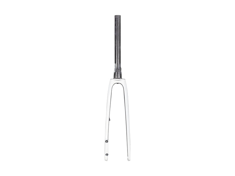 Trek 2022 Domane SL 5 Forks