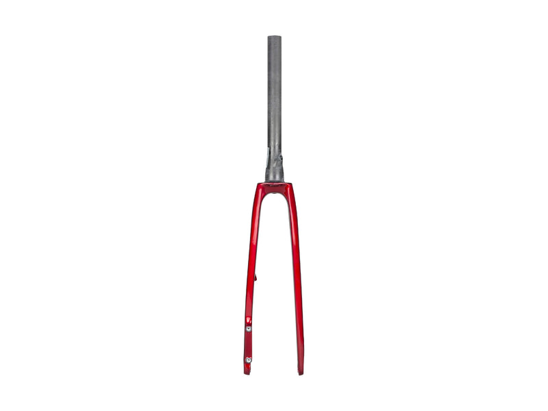 Trek 2022 Domane SL 5 Forks