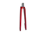 Trek 2022 Domane SL 5 Forks