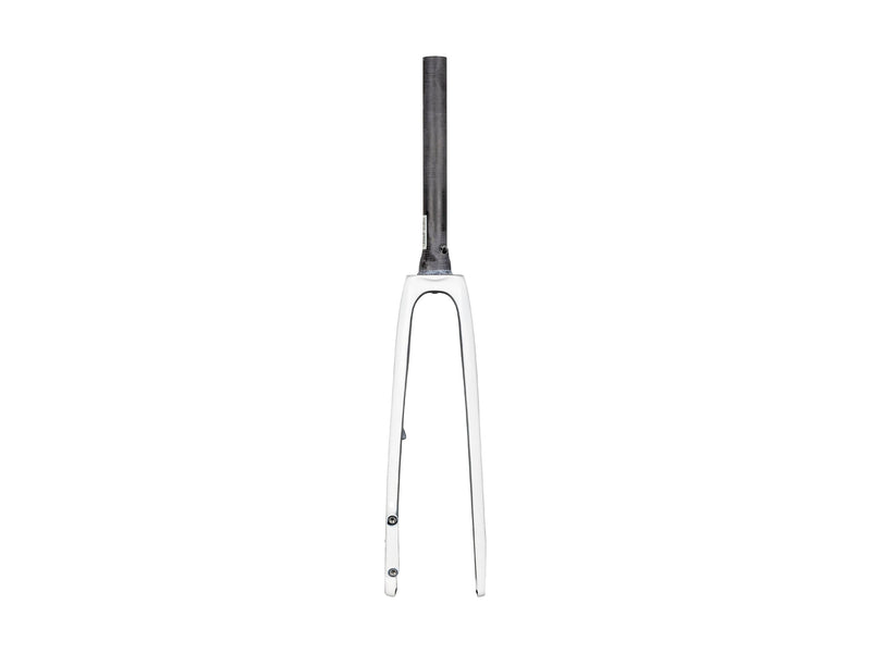 Trek 2022 Domane SL 5 Forks