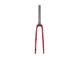 Trek 2022 Domane SL 5 Forks
