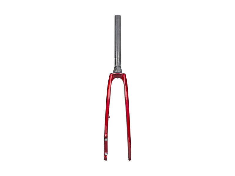 Trek 2022 Domane SL 5 Forks