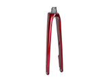 Trek 2022 Domane SL 5 Forks