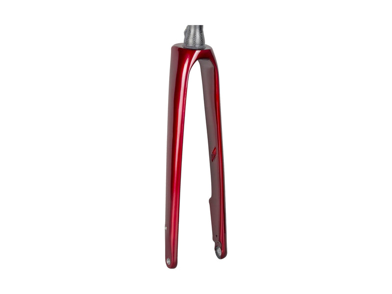 Trek 2022 Domane SL 5 Forks