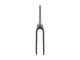 Trek 2020-2022 Allant+ 9.9 700c Rigid Forks