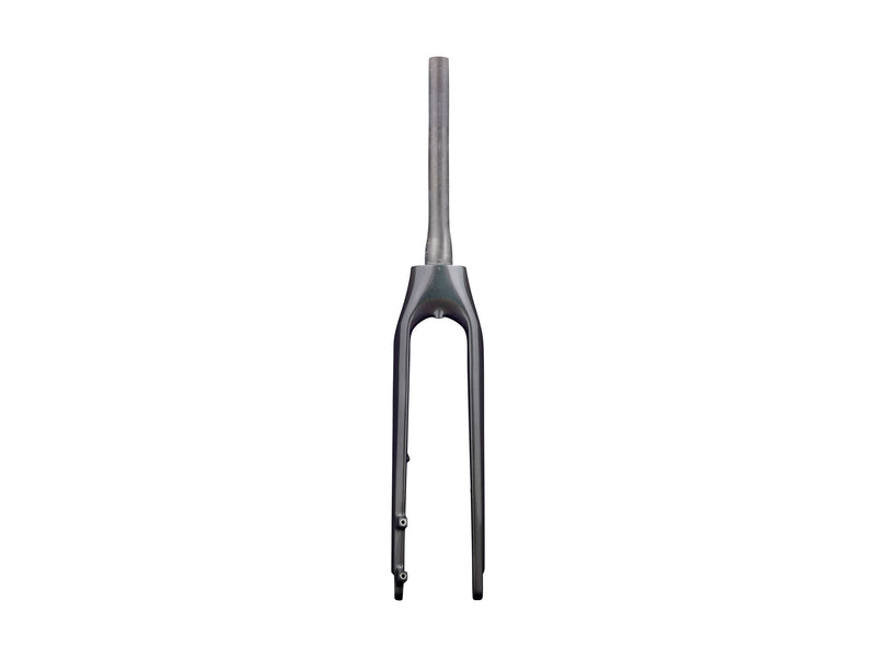 Trek 2020-2022 Allant+ 9.9 700c Rigid Forks