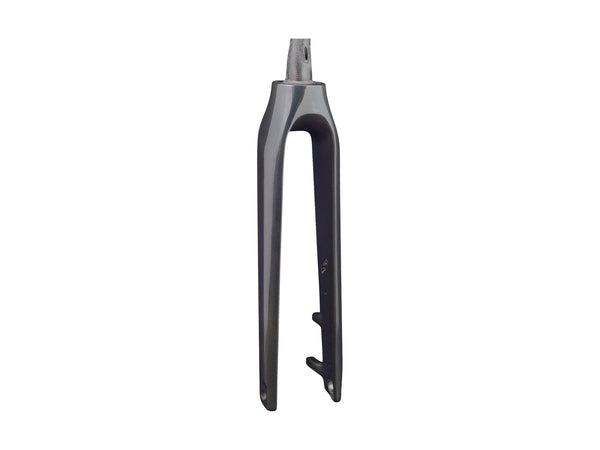 Trek 2020-2022 Allant+ 9.9 700c Rigid Forks