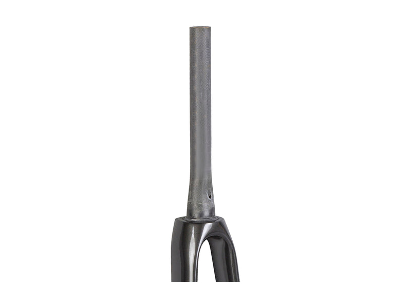 Trek Emonda ALR 6 700c Rigid Forks