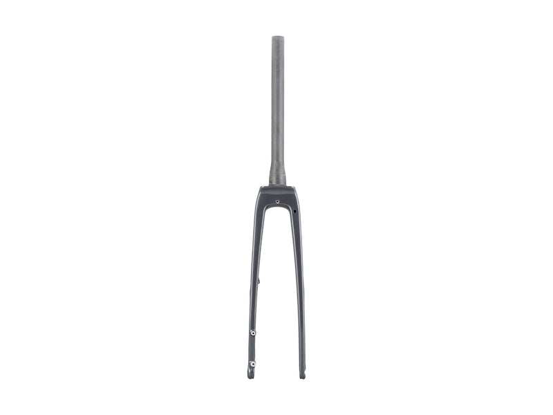 Trek FX Sport Carbon Thru-Skew Forks