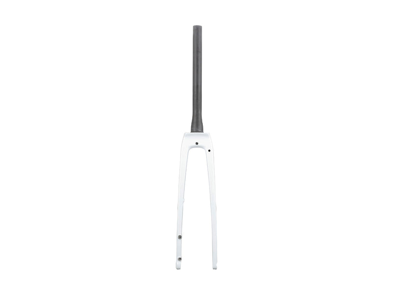 Trek FX Sport Carbon Thru-Skew Forks