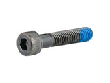 Trek M8x1.25 Socket Head Cap Screw