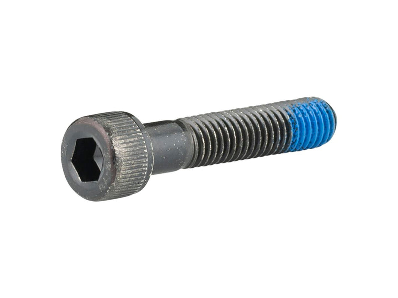 Trek M8x1.25 Socket Head Cap Screw