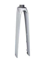Trek Madone SLR 6 700c Disc Rigid Forks