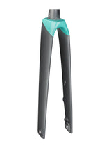 Trek Madone SLR Women's 700c Disc Rigid Forks