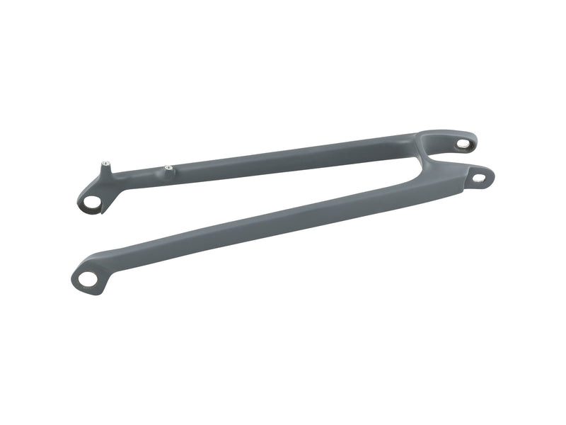 Trek 2020-2023 Rail 29 Carbon Seatstay