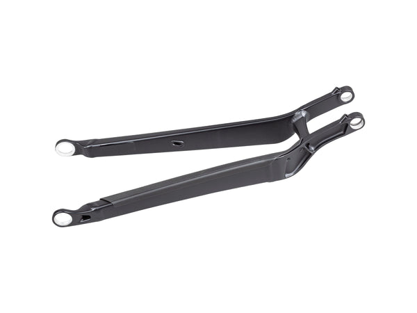 Trek 2020-2021 Top Fuel 29 Aluminum Chainstay