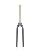 Fourches rigides Trek Verve+ 3