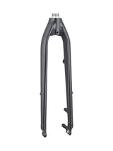 Fourches rigides Trek Verve+ 3