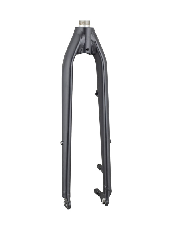 Fourches rigides Trek Verve+ 3