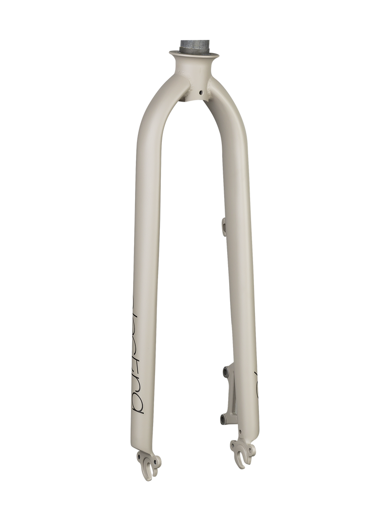 Electra Townie Go! 8i Men's 26"" Rigid Fork