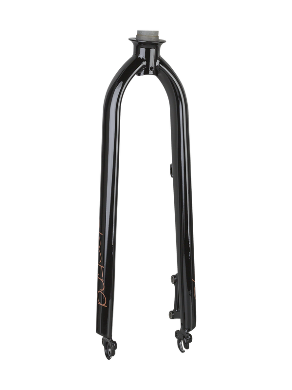 Electra Townie Go! 8i Men's 26"" Rigid Fork